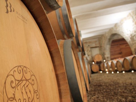 chateau dollieres 4